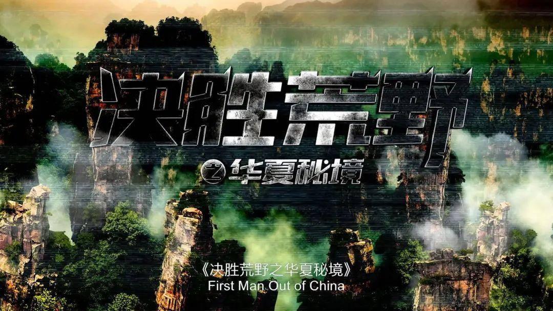 卡通小车找不同