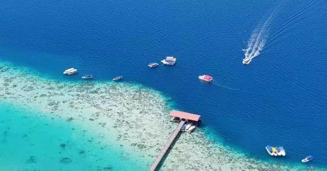 海之号角神秘海怪