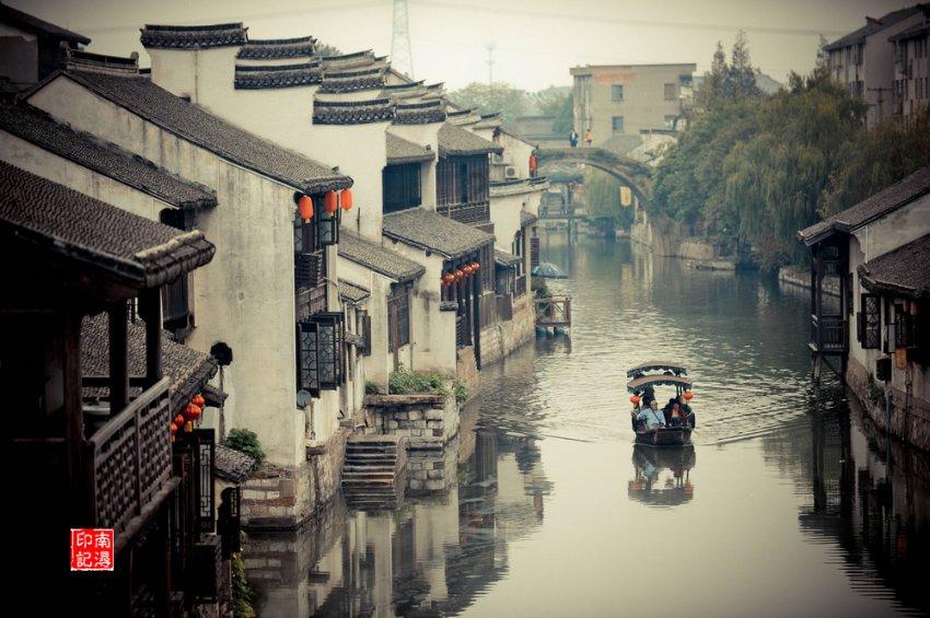 奔跑的兔子